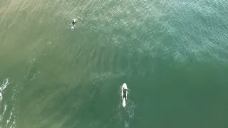 Surfers at Seaside Oregon