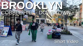 NEW YORK CITY Walking Tour [4K] - BROOKLYN - COBBLE HILL - BROOKLYN DOWNTOWN (Short Video)