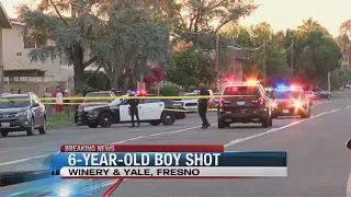 6-year-old boy shot in backseat of his mother's car