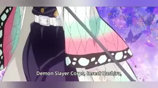 damon slayer girl  [AMV] salute