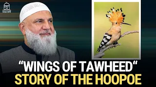 “Wings Of Tawheed“ Story of the HooPoe | Ustadh Mohamad Baajour