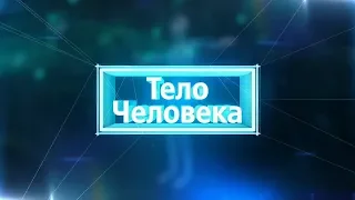 Тело человека 26.11.2019  Пневмония