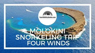 Molokini Snorkeling Trip - Snorkeling a Sunken Volcano on Maui, Hawaii