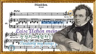 Ständchen Schubert / 슈베르트 세레나데【음악 읽기, 악보와 가사】