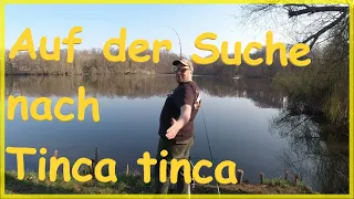 Angeln auf Schleie und Karpfen im Frühjahr mit Pose und Winkelpicker