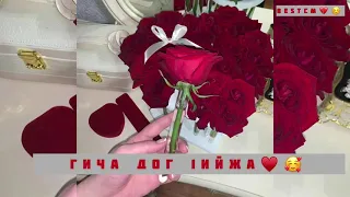 Чеченская Очень Красивая Песня Гича Дог 1ийжа😻🌺