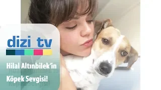 Hilal Altınbilek'in köpek sevgisi - Dizi Tv 656. Bölüm