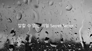 「말할 수 없는 비밀 Secret Secret 」- 스트레이키즈 Stray Kids 意訳 (日本語)