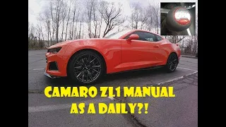 2019 Chevrolet Camaro ZL1 w/ Manual Transmission // A Shockingly Good Daily (Passenger POV)