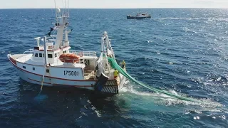 Vivre de la mer : Pêche du homard