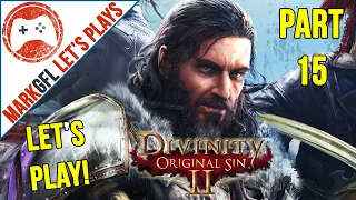 Let's Play Divinity: Original Sin 2 - First Playthrough - part 15