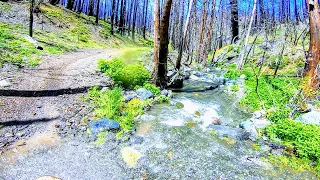 Stonyford OHV 56 Mile Loop Mendocino National Forest 2020 @Norcal2stroke