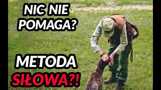 Metoda siłowa - jak nauczyć aportu, gdy nic nie pomaga?