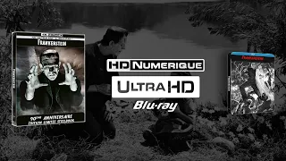 Frankenstein (1931) : Comparatif 4K Ultra HD vs Blu-ray