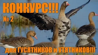 ВНИМАНИЕ НОВЫЙ КОНКУРС!!! Только для ОХОТНИКОВ!!!