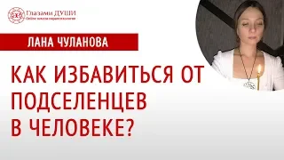 Как избавиться от подселенцев в человеке | Подселение в человеке | Глазами Души