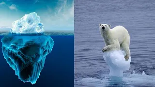 Что такое айсберг.  Интересные факты о природе