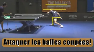 Apprendre le Topspin coup droit sur balle coupée [analyse de Hugo Calderano]