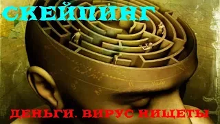 КАК ДЕЛАТЬ ДЕНЬГИ ВОПРЕКИ ВИРУСУ НИЩЕТЫ Деньги.  Вирус нищеты. Скейпинг