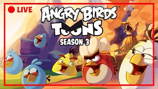 🔴 LIVE Angry Birds Party | Toons Season 3 All Episodes