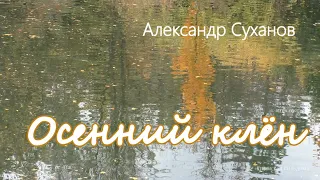 Александр Суханов. Песня  " Осенний клен "