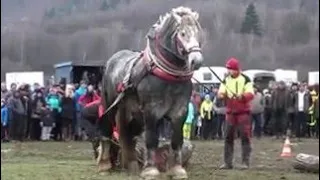 HUGE Horse for place in Championship Kľačianská podkova 2020