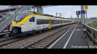 463 017 & 463 007 als RB 27 von Basel Bad Bf nach Freiburg(Breisgau) Hbf.Einfahrt in Haltingen.