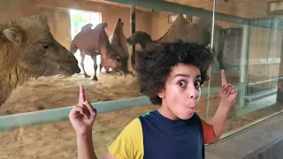 Emirates park zoo - Agent Salman