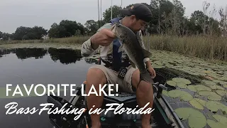 Catching Bass in my Favorite Florida Lake