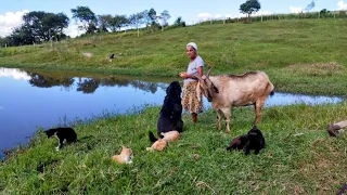 Com 77 anos todo dia ela vai pescar com todos seus animais de estimação ...