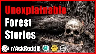 Forest rangers share their creepy and unexplainable stories (r/AskReddit - Reddit Scary Stories)