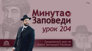 204 | У тебя есть свет? Свети!