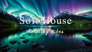 Soft House 2024 🌈🌊 Relaxing Vibes Mix【House / Chill Compilation / Instrumental】