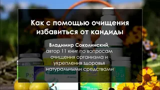 Как избавиться от грибов в кишечнике натуральными средствами