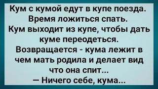 Кума Перед Кумом В Чем Мать Родила! Сборник Свежих Анекдотов! Юмор!