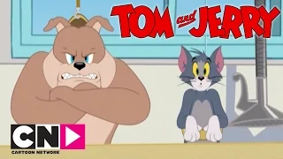 Tom & Jerry Show I Spike ve Tom I Cartoon Network Türkiye