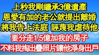 上秒我剛繼承3億遺產，恩愛有加的老公就提出離婚，將我告上法庭  誣蔑我虐待他，要分走1.5億加我的房子，不料我掏出疊照片讓他淨身出戶 真情故事會||老年故事||情感需求||愛情||家庭