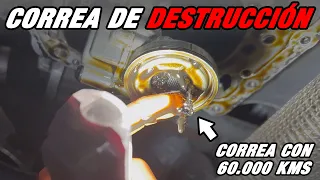 Si tienes un coche con correa de distribución bañada en aceite DEBES ver esto 🥶