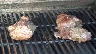 кенгуру на гриле  kangaroo grilling  4K