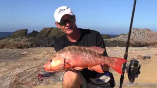 JANSEN Cabo Surf Fishing part 1