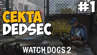 ДА ЗДРАВСТВУЮТ ХАКЕРЫ! ► Watch Dogs 2 Прохождение На Русском - Часть 1