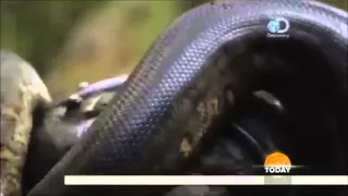 A filmmaker eaten alive by Anaconda