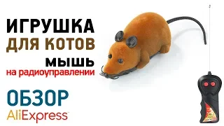 МЫШЬ НА РАДИОУПРАВЛЕНИИ с Алиэкспресс Обзор игрушка для кошек Mouse Cat Toys Wireless RC