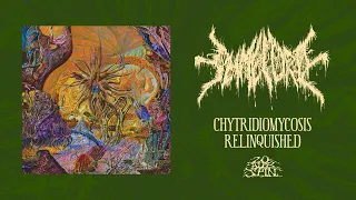 SLIMELORD - Chytridiomycosis Relinquished (Full Album) 20 Buck Spin