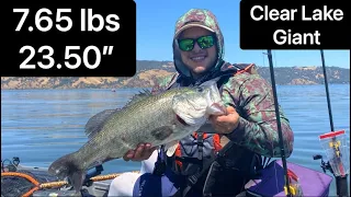 CLEAR LAKE GIANT (Cast to Catch, 7 lb 10 oz bass)