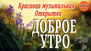 Доброе Утро! Всё хорошо...Мир просто замер! Очень Красивая Музыкальная Открытка! Канал Всё Про Жизнь