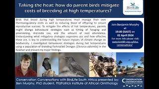 Conservation conversations: Costs of breeding (birds) at high temperatures - Ben Murphy (02Apr2024)