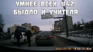 УМНЕЕ ВСЕХ #42. БЫДЛО И УЧИТЕЛЯ НА ДОРОГЕ