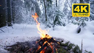 🔥 Cozy Campfire in the Winter Forest (12 HOURS). Campfire Ambience with Crackling Fire Sounds