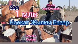 Ноокат Жылкы Базары Укмуш Кызыды 12.09.12